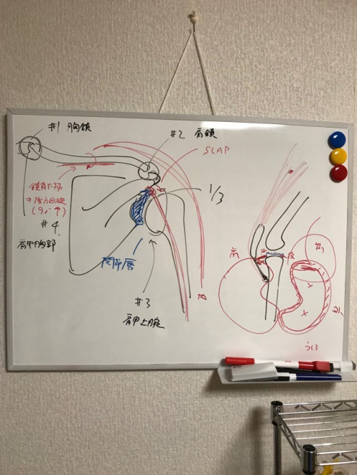 症例　ージョギングで膝が痛いー